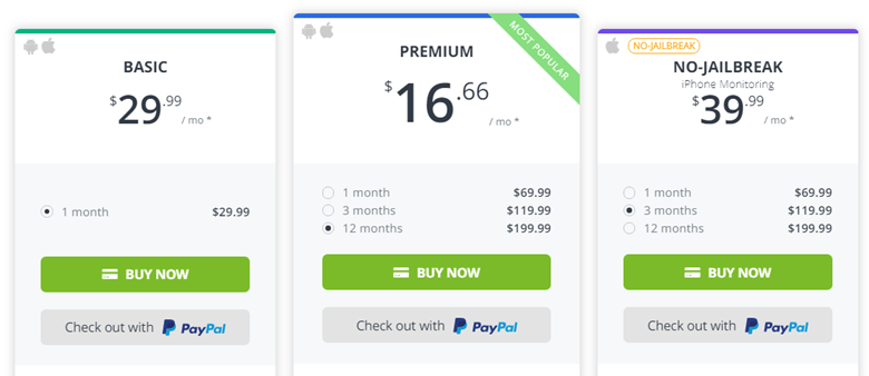 mspy pricing